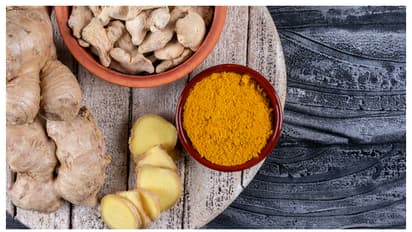 ഇഞ്ചി ഇങ്ങനെയും സൂക്ഷിക്കാം; കേടാകാതിരിക്കാൻ ഇത്രയും ചെയ്താൽ മതി