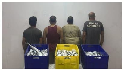 നിരോധിത മേഖലയിൽ മത്സ്യബന്ധനം; നാല് പ്രവാസികൾ അറസ്റ്റിൽ