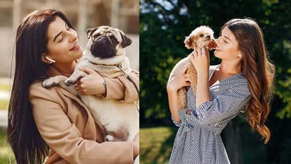 Can Humans truly understand Dogs' emotions? New research says NO; Find out why