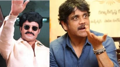 బాలయ్యకి చెమటలు పట్టించాడు, కానీ చిరంజీవి అట్టర్ ఫ్లాప్ మూవీతో దెబ్బైపోయిన నాగార్జున 