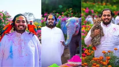 ವಂತಾರಾದಲ್ಲಿ ಅನಂತ್ ಅಂಬಾನಿ ಹೋಳಿ, ಪ್ರಾಣಿ ಪ್ರಿಯರ ಕಣ್ಣಿಗೆ ಹಬ್ಬ