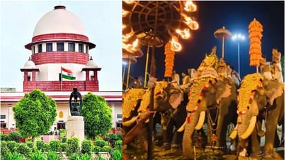  ആന എഴുന്നള്ളിപ്പ് സംസ്കാരത്തിന്‍റെ ഭാഗം; ഇടക്കാല ഉത്തരവിന് സ്റ്റേ, ഹൈക്കോടതിക്ക് സുപ്രീംകോടതിയുടെ വിമർശനം