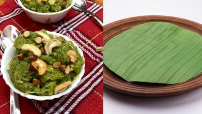 banana leaf halwa recipes 