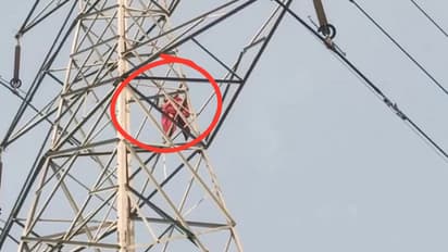 UP News woman climbs high voltage tower in prayagraj police rescue