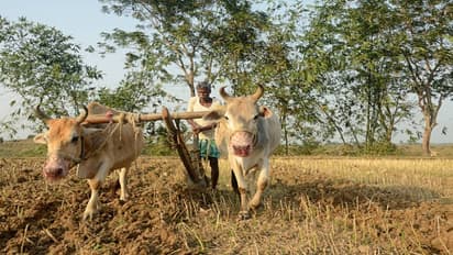 किसानों के लिए बुरी खबर! आयुष्मान भारत योजना में इन किसानों को किया गया बाहर, जानिए क्यों?