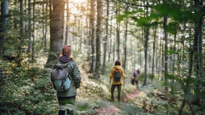 World Forest Day 2025 : இன்று உலக வன நாள்! காடுகளை காக்காவிட்டால் என்னாகும் அடுத்த தலைமுறை? 