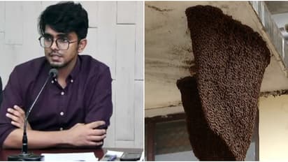 കലക്ടറേറ്റിൽ ബോംബ് ഭീഷണിയെത്തുടർന്ന് പരിശോധന; സബ് കളക്ടർ ഒവി ആൽഫ്രഡിനും തേനീച്ചയുടെ കുത്തേറ്റു, പരിക്ക്