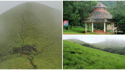 കാട്ടുവഴിയുടെ മണമറിഞ്ഞ് കോട പുതച്ചൊരു ട്രെക്കിംഗ്; വന്യജീവികളുടെ വിഹാരകേന്ദ്രമായ റാണിപുരത്തേക്ക്