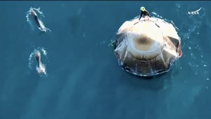 ಸುನಿತಾ ವಿಲಿಯಮ್ಸ್‌ಗೆ ಡಾಲ್ಫಿನ್‌ಗಳು ಹೇಗೆ ಸ್ವಾಗತಿಸಿದವು ನೋಡಿದ್ರಾ? ಸೂಪರ್ ವಿಡಿಯೋ ಇಲ್ಲಿವೆ