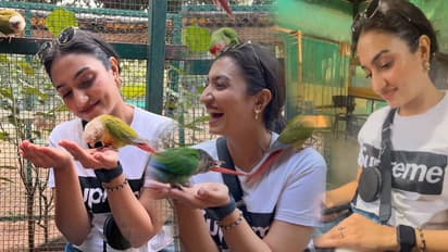 'ಸೀತಾರಾಮ' ನಟಿ ವೈಷ್ಣವಿ ಗೌಡ  Without Makeup ಲುಕ್‌ ಇದು; ಕೊರಿಯನ್‌ ಚರ್ಮದಂತೆ ಹೊಳೆಯಲು ಏನ್‌ ಮಾಡ್ತಾರೆ?