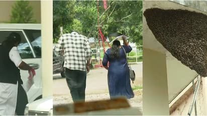 തേനീച്ചകള്ക്കെതിരെ യുദ്ധപ്രഖ്യാപനം! ഇന്നും തിരുവനന്തപുരം കളക്ടറേറ്റിലെത്തിയവർക്ക് കുത്തേറ്റു, കൂടുകൾ നീക്കും