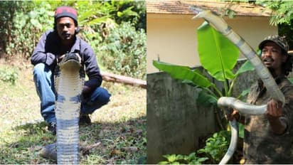 പാമ്പുപിടുത്തക്കാരൻ സന്തോഷ് കുമാർ പാമ്പ് കടിയേറ്റ് മരിച്ചു; സംഭവം വീട്ടിൽ കയറിയ മൂർഖനെ പിടിക്കുന്നതിനിടെ