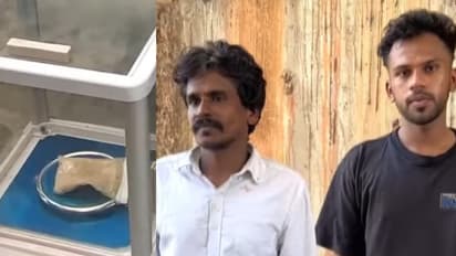 തമിഴ്നാട് വഴി കേരളത്തിലേക്ക്, എംഡിഎംഎയുമായി ബൈക്കിൽ മിന്നിച്ചെത്തിയത് നിയമവിദ്യാർത്ഥി, അറസ്റ്റ്