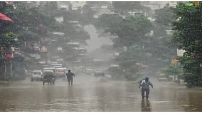 ബെംഗളൂരു - മൈസൂരു ട്രിപ്പ് പ്ലാൻ ചെയ്തിട്ടുണ്ടോ? ശ്രദ്ധിക്കുക, കർണാടകയിലെ വിവിധ ജില്ലകളിൽ മഴ മുന്നറിയിപ്പ്