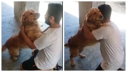 ഹൃദയങ്ങൾ കീഴടക്കിയ വീഡിയോ;  കാണാതായ നായയും ഉടമയും കണ്ടുമുട്ടിയ വീഡിയോ വൈറല്‍ 