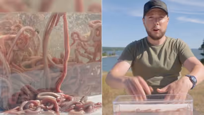 കാണുമ്പോൾ അറപ്പും ഞെട്ടലും തോന്നുന്നു, പാത്രം നിറയെ വിഷമുള്ള ബ്ലഡ്‍വേമുകൾ, കയ്യിട്ട് യുവാവ്