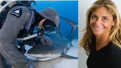 ಸಮುದ್ರದಾಳದ ಭಯಂಕರ ಶಾರ್ಕ್ಗಳಿಗೆ ಈಕೆ ಡಾರ್ಲಿಂಗ್!