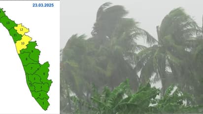 Summer rain to continue in Kerala; IMD sounds yellow alert in Malappuram, Wayanad