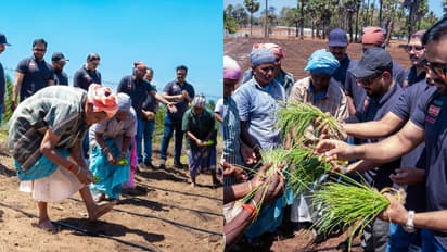 வாழை, தென்னை, முருங்கை; 160 ஏக்கரில் Lulu குழுமம் மெகா திட்டம்; எங்கே?