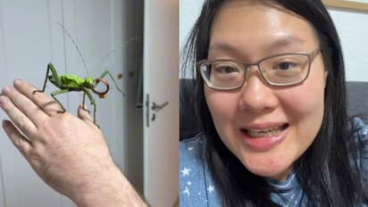 വിവാഹത്തിന് മോതിരവുമായി അവൾ വരും, കാമുകൻ വളർത്തുന്ന പ്രാണി; വീഡിയോയുമായി യുവതി