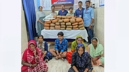 കേരളത്തിലേക്ക് വിൽപനക്കായി 65 കിലോ കഞ്ചാവ്; അഞ്ച് സ്ത്രീകളും ഒരു പുരുഷനും കോയമ്പത്തൂരിൽ പിടിയിൽ