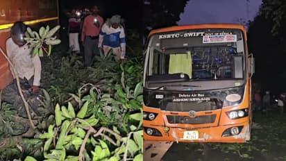 Kerala: KSRTC Swift bus rams into mango pickers in Kozhikode's Thamarassery; Three injured, one critical