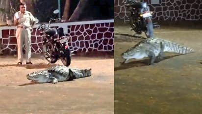 ആരാണ് റോഡിലൂടെ ഇഴഞ്ഞ് വരുന്നതെന്ന് നോക്കൂ; ഞെട്ടലൊഴിയാതെ നാട്ടുകാർ, വൈറലായി ദൃശ്യങ്ങൾ 