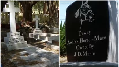 കുതിരയ്ക്ക് സ്മാരകമുള്ള ദേവാലയ സെമിത്തേരി എന്ന അപൂർവത, അന്തിയുറങ്ങുന്നത് 36 വിദേശികൾ;  പള്ളിക്കുന്നിലെ പള്ളി