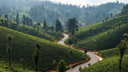 தமிழ்நாட்டில் கண்கவர் சுற்றுலாப் பாதைகள்! மலைப்பாதை முதல் கடற்கரைச் சாலை வரை!