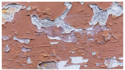 വീട് പെയിന്റ് ചെയ്യുമ്പോൾ ചുമരിൽ ഇങ്ങനെ വരാറുണ്ടോ? എങ്കിൽ ഇതാണ് കാരണം 