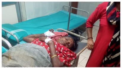 രാത്രി വീടിന് പുറത്തിറങ്ങി, ഇരുട്ടിൽ നിന്ന് കാട്ടുപന്നിയുടെ അപ്രതീക്ഷിത ആക്രമണം; സ്ത്രീക്ക് ഗുരുതര പരിക്ക്