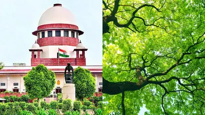 ഒരുപാട് മരങ്ങൾ മുറിക്കുന്നത് മനുഷ്യനെ കൊല്ലുന്നതിനേക്കാൾ പാപമെന്ന് സുപ്രീം കോടതി