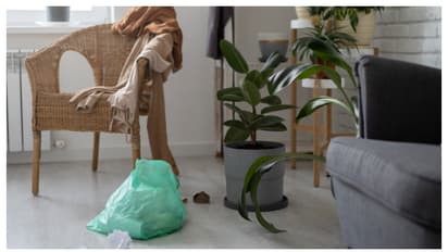 വീട്ടിൽ പൊടിശല്യമുണ്ടോ? ഇങ്ങനെ ചെയ്താൽ മതി 