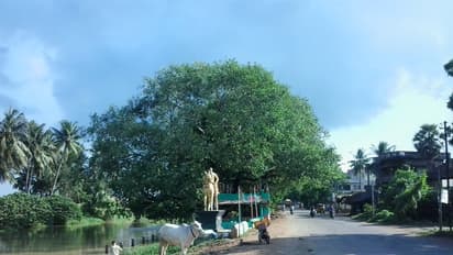 ಒಂದೇ ಹಳ್ಳಿಯಲ್ಲಿ 200 ಜನರಿಗೆ ಕ್ಯಾನ್ಸರ್, ವಾರ್ಷಿಕ 21 ಮಂದಿ ಸಾವು!