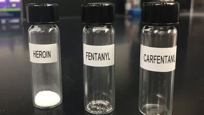 "State actors": US Annual Threat Assessment implicates China and India in illicit fentanyl production
