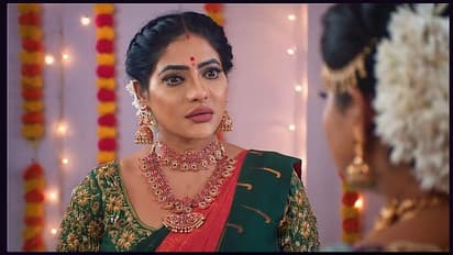 Karthigai Deepam: ரேவதி - கார்த்திக்கிற்கு பாட்டி ஏற்பாடு செய்த தடபுடல் விருந்து! சாமுண்டீஸ்வரியின் ட்விஸ்ட்?