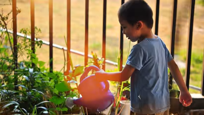 തോന്നും പോലെ നനയ്ക്കരുത്, ചെടികൾക്ക് വെള്ളം നൽകാനുമുണ്ട് നല്ലനേരം 
