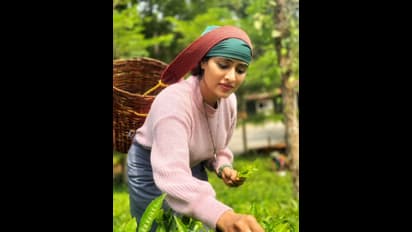 ಬಿಗ್ ಬಾಸ್ ಮನೆಯಲ್ಲಿ ಅಬ್ಬರಿಸಿ ಟೀ ಎಲೆ ಕೊಯ್ಲುಗೆ ಹೋದ ಸಂಗೀತಾ ಶೃಂಗೇರಿ: ಮದುವೆ ಬಗ್ಗೆ ವಿಚಾರಿಸಿದ ಫ್ಯಾನ್ಸ್!