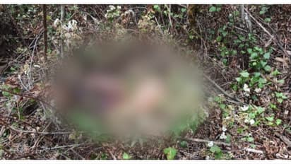 വിറക് ശേഖരിക്കാൻ കാട്ടിലേക്ക് പോയി യുവാവ്, തിരികെയെത്തിയില്ല, തിരഞ്ഞിറങ്ങിയവർ കണ്ടത് മൃതദേഹം