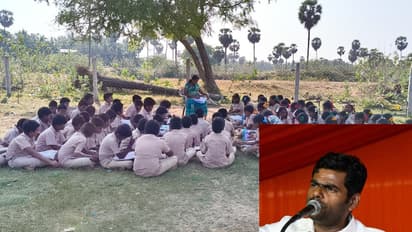 பள்ளி கட்டடம் இல்லாததால் மரத்தடியில் நடக்கும் வகுப்பு! பொங்கியெழுந்த அண்ணாமலை! 