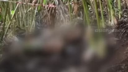 എസ്റ്റേറ്റിൽ നവജാത ശിശുവിന്‍റെ മൃതദേഹം; ജനിച്ചപ്പോൾ ജീവനില്ലായിരുന്നുവെന്ന് യുവതി, പൊലീസ് കസ്റ്റഡിയിലെടുത്തു