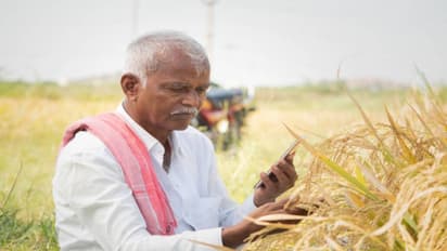 Rythu Bharosa : రైతులకు గుడ్ న్యూస్ ... ఈ నెలాఖరులోపు బ్యాంక్ అకౌంట్లో డబ్బులే డబ్బులు
