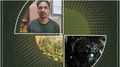 മാസങ്ങൾ നീണ്ട നിരീക്ഷണം; കാസർകോട് ഹാഷിഷും കഞ്ചാവുമായി യുവാവ് പിടിയിൽ