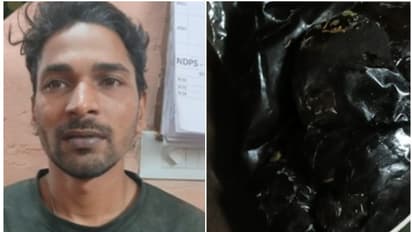 രഹസ്യ വിവരം കിട്ടി മാസങ്ങളോളം ഇന്റലിജൻസ് നിരീക്ഷണം, ഒടുവിൽ റെയ്ഡ്; ഹാഷിഷും കഞ്ചാവുമായി യുവാവ് പിടിയിൽ