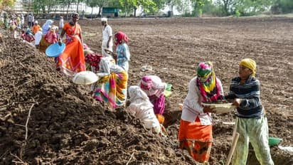 MNREGA: ಕರ್ನಾಟಕದಲ್ಲಿ ಬರೋಬ್ಬರಿ 670 ಕೋಟಿ ಅಕ್ರಮ, ಸತ್ತವರ ಖಾತೆಗೆ ಪಾವತಿಯಾಯ್ತು 2.89 ಕೋಟಿ!