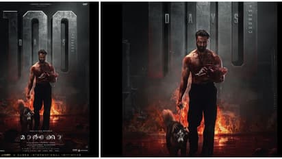 ക്യൂബ്സ് എന്റർടെയ്ൻമെന്റ്സിന് ചരിത്ര നേട്ടം; 100 ദിനങ്ങളും 100 കോടിയും പിന്നിട്ട് 'മാർക്കോ'