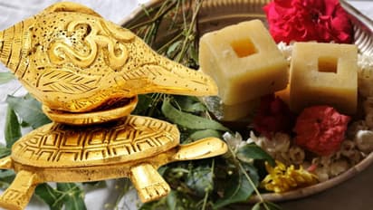 ಯುಗಾದಿ ದಿನ ಈ ವಸ್ತುಗಳನ್ನು ಮನೆಗೆ ತನ್ನಿ, ಅದೃಷ್ಟ ನಿಮ್ಮದಾಗುತ್ತದೆ!