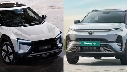 Tata Motors to Mahindra: A look at Tesla's top contenders in India