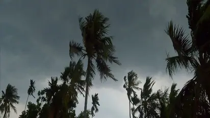 AP and Telangana Weather, April 4: Thunderstorms in Hyderabad, blazing heat Vijayawada; check updates here