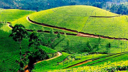 Day Trips from Hyderabad: Explore the best hill stations